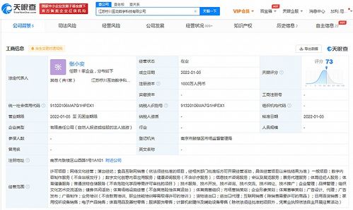 苏宁布局数字科技新赛道 成立科技公司，涉足演出经纪与数字内容服务